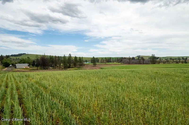 NKA Lambridge Ln Lot 1 Medical Lake, WA 99022