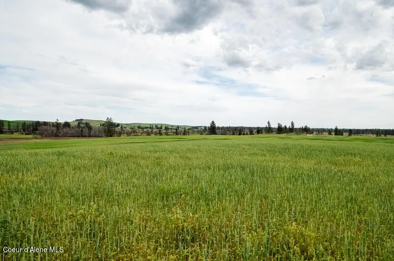 NKA Lambridge Ln Lot 1 Medical Lake, WA 99022