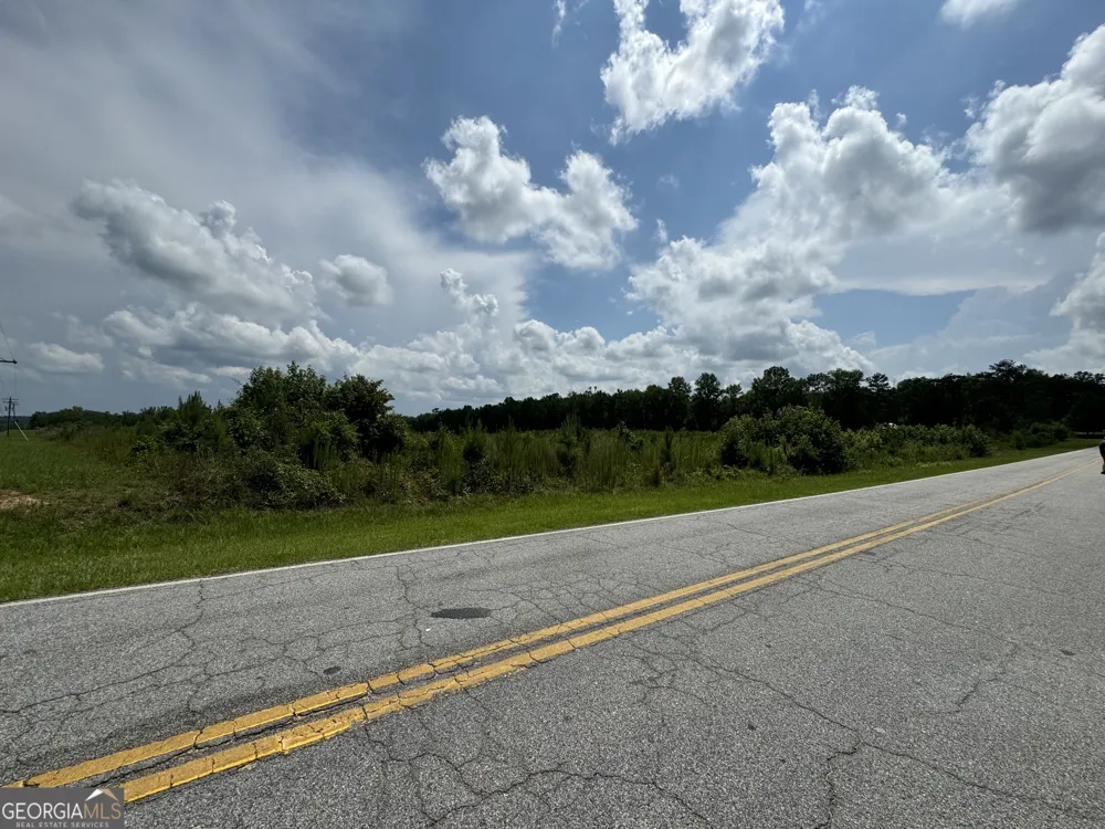 3854 Us Hwy 19 Meansville, GA 30256