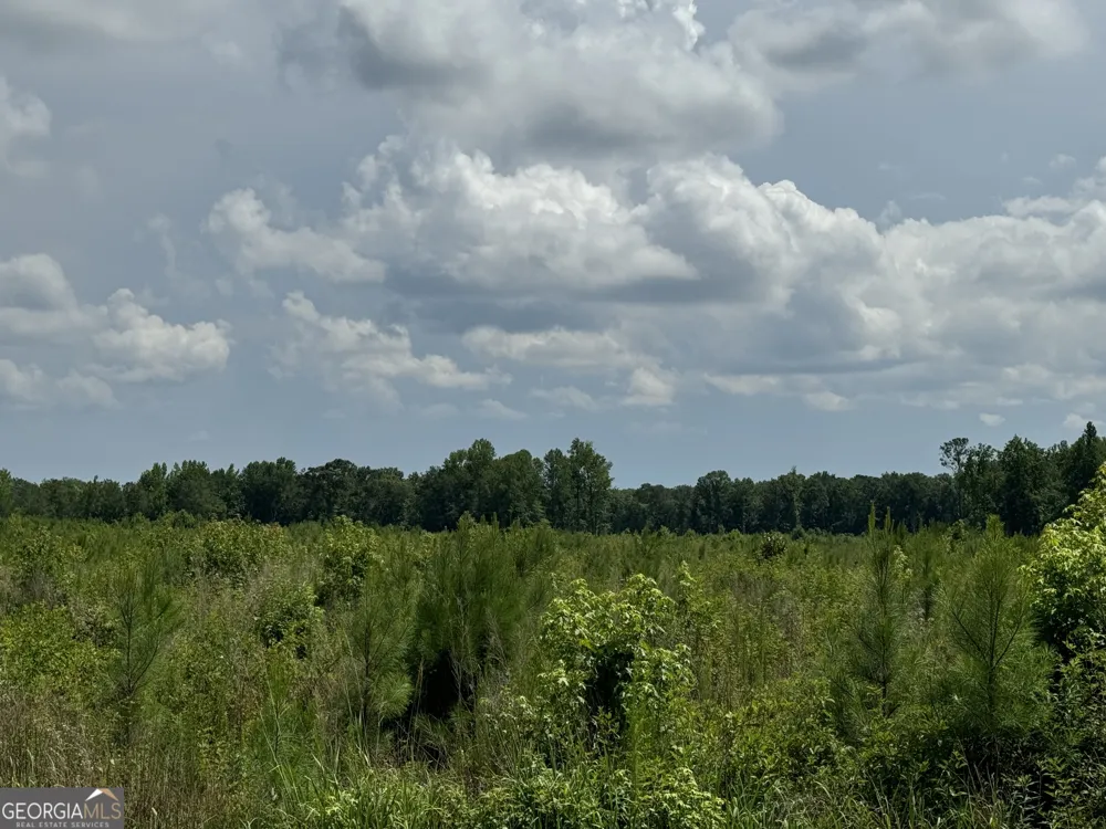 3854 Us Hwy 19 Meansville, GA 30256