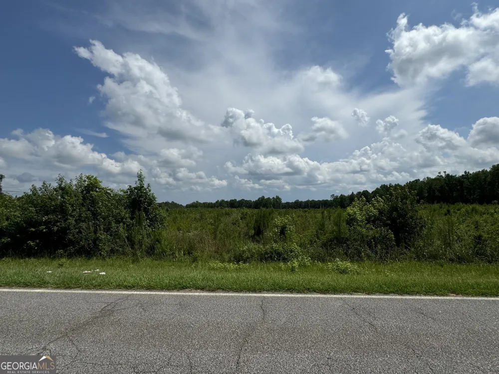 3854 Us Hwy 19 Meansville, GA 30256