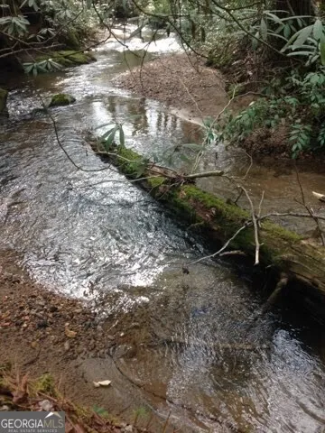 0 Wolf Howl TRL Sautee Nacoochee, GA 30571