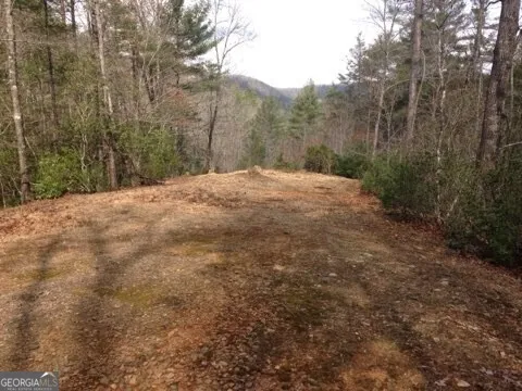 0 Wolf Howl TRL Sautee Nacoochee, GA 30571