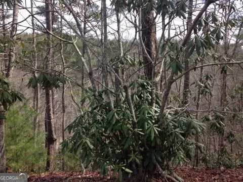 0 Wolf Howl TRL Sautee Nacoochee, GA 30571