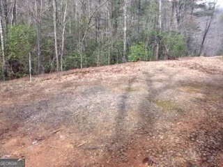 0 Wolf Howl TRL Sautee Nacoochee, GA 30571