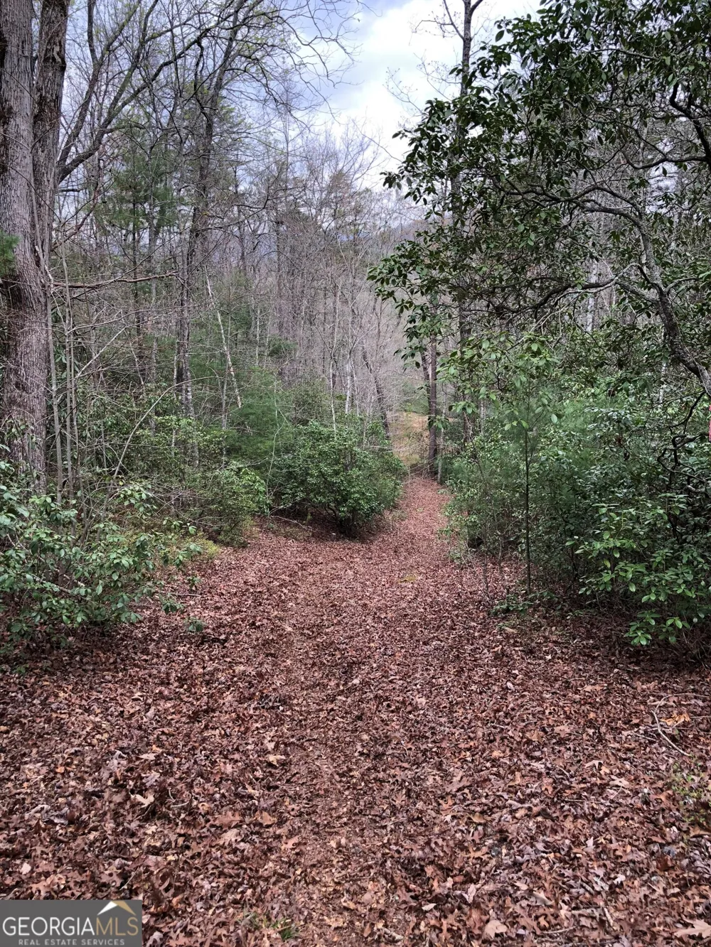 0 Wolf Howl TRL Sautee Nacoochee, GA 30571