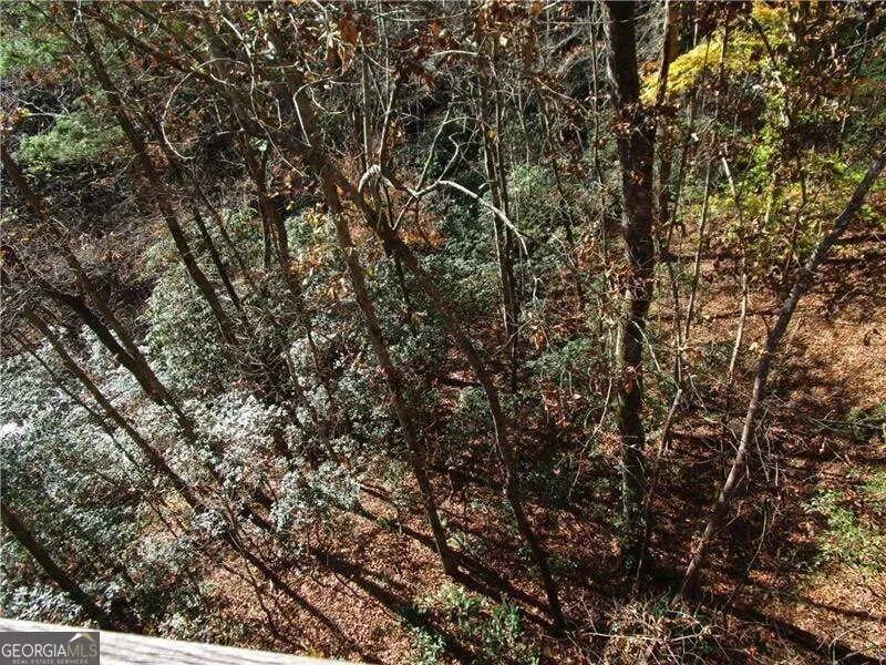 17 Dach Bruecke Gasse Helen, GA 30545
