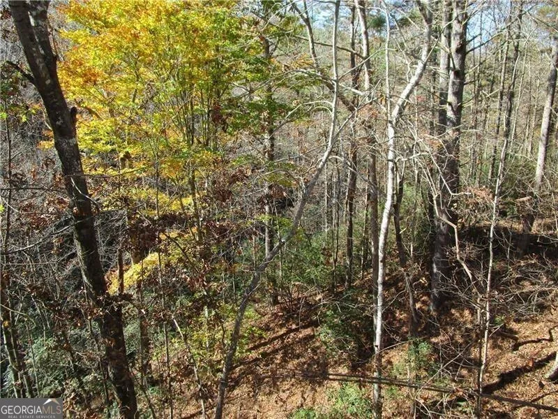 17 Dach Bruecke Gasse Helen, GA 30545