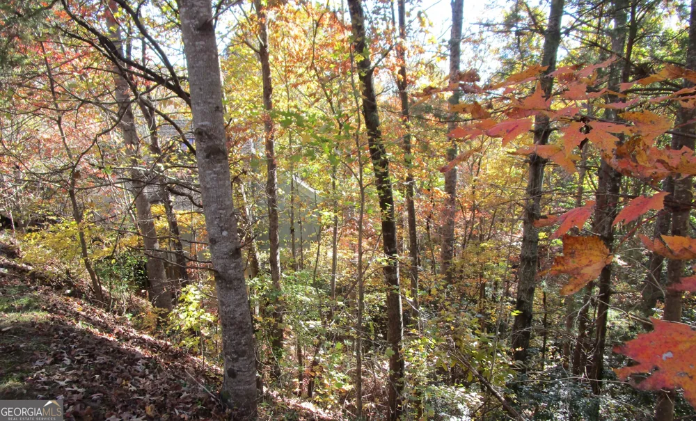 17 Dach Bruecke Gasse Helen, GA 30545
