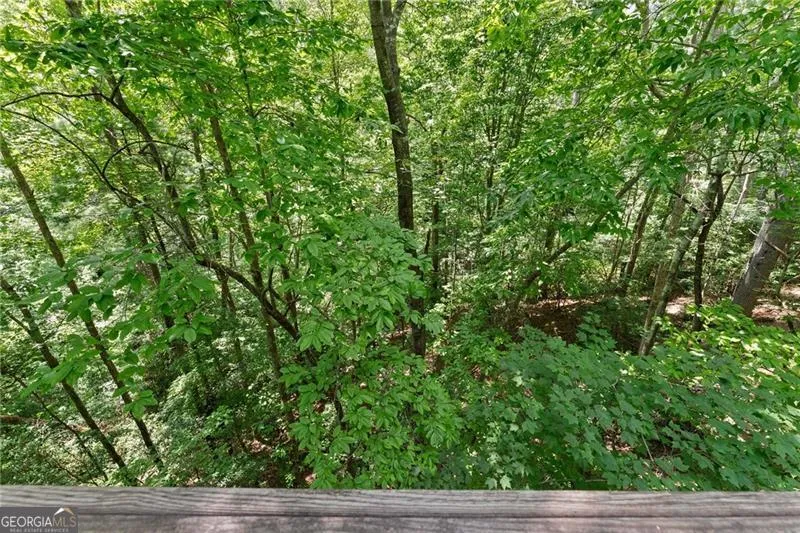 17 Dach Bruecke Gasse Helen, GA 30545