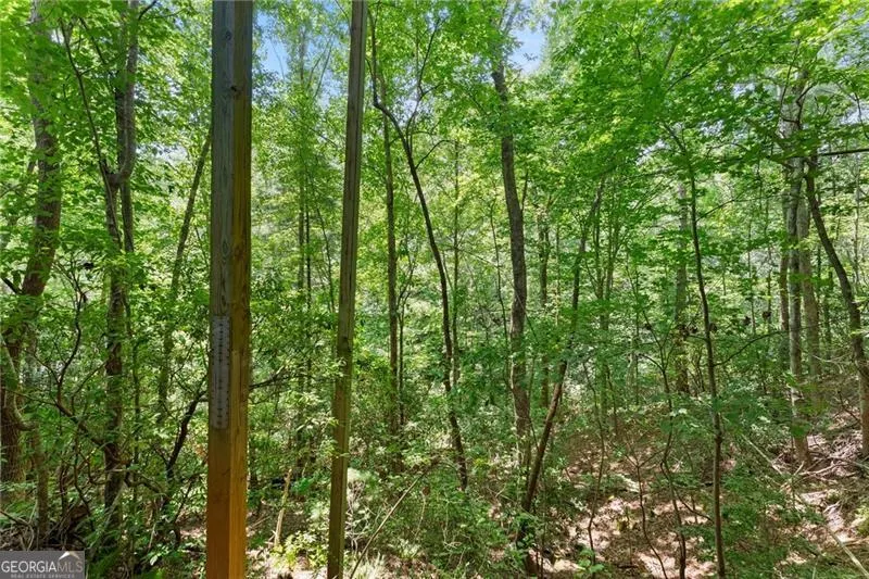 17 Dach Bruecke Gasse Helen, GA 30545