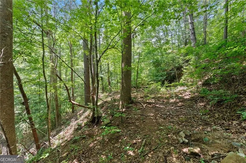 17 Dach Bruecke Gasse Helen, GA 30545