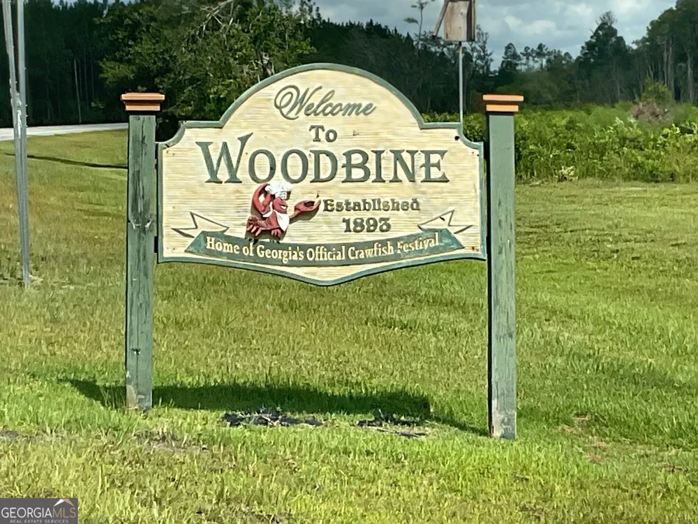 705 Bedell AVE Woodbine, GA 31569