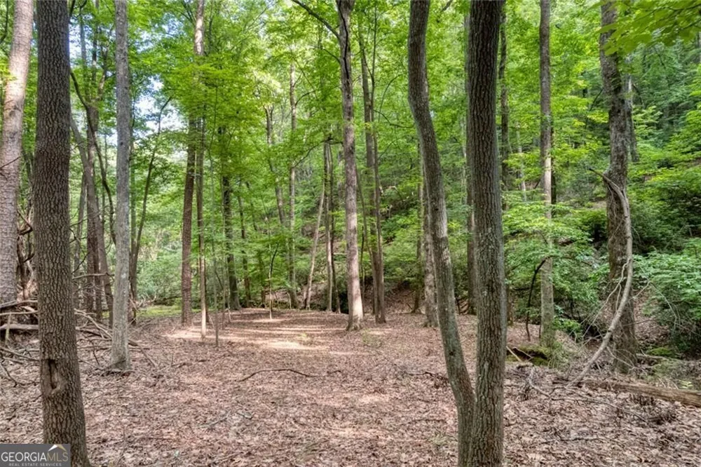 90 Cardinal CV Big Canoe, GA 30143