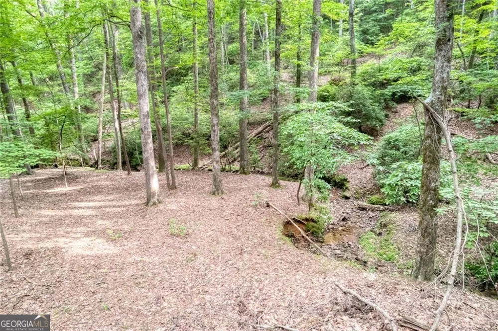 90 Cardinal CV Big Canoe, GA 30143