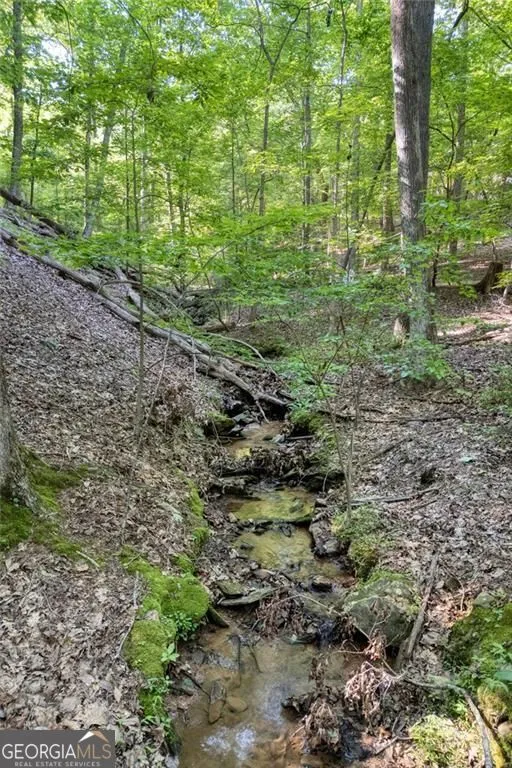 90 Cardinal CV Big Canoe, GA 30143