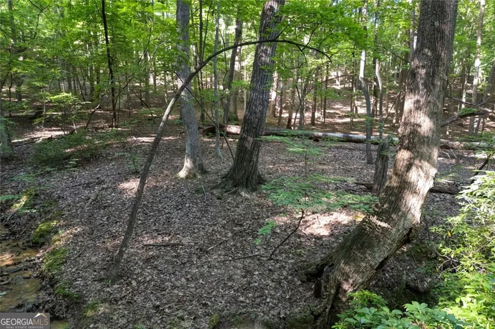 90 Cardinal CV Big Canoe, GA 30143