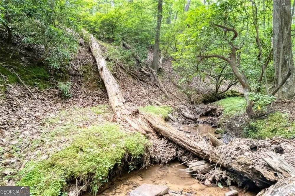 90 Cardinal CV Big Canoe, GA 30143