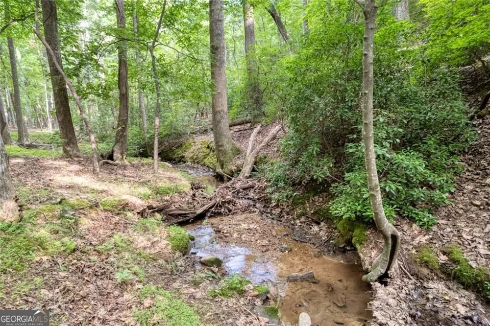 90 Cardinal CV Big Canoe, GA 30143