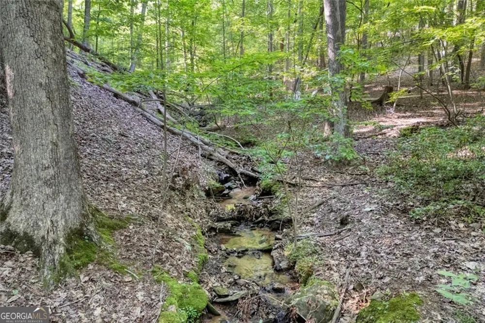 90 Cardinal CV Big Canoe, GA 30143