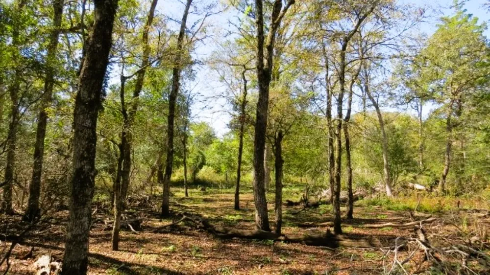 Jackrabbit Lane Hearne, TX 77859