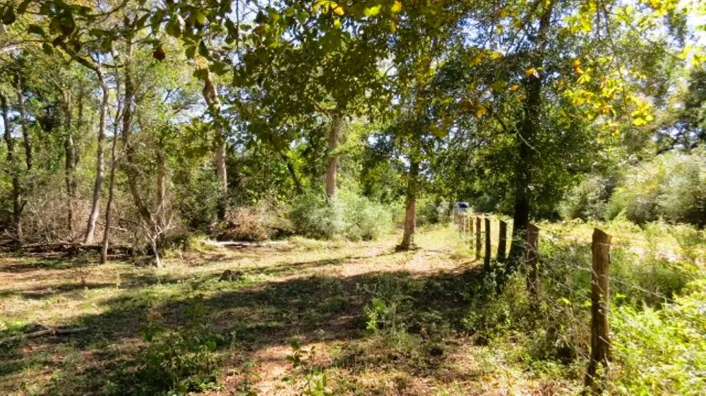 Jackrabbit Lane Hearne, TX 77859
