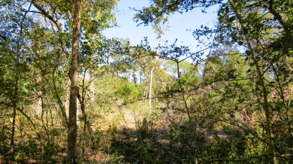 Jackrabbit Lane Hearne, TX 77859