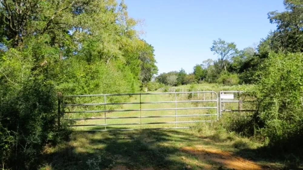 Jackrabbit Lane Hearne, TX 77859