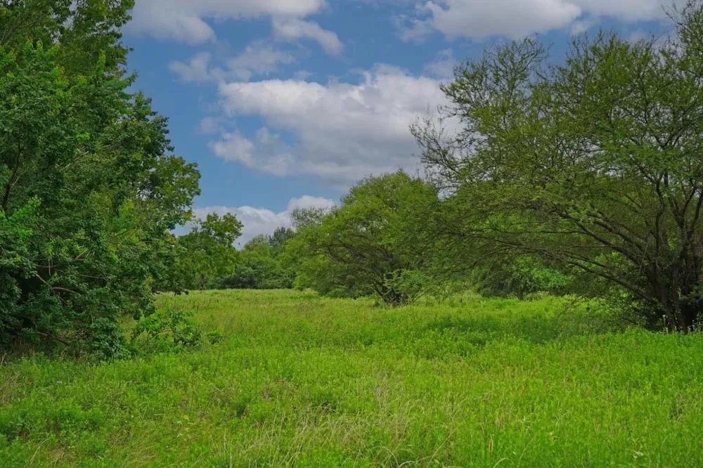 35 Hwy 6 Loop S Navasota, TX 77868