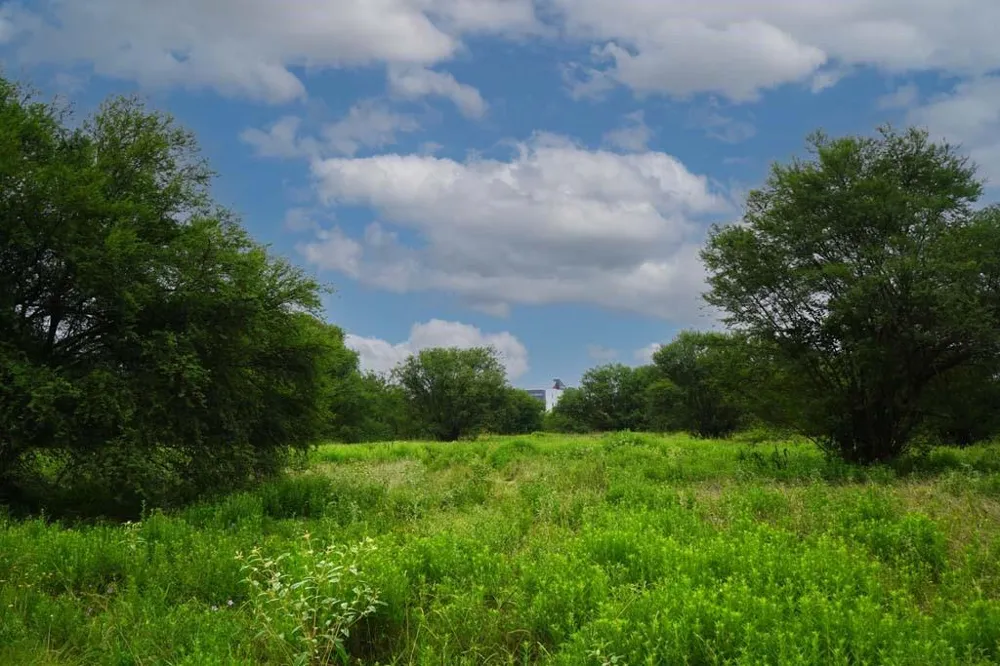 35 Hwy 6 Loop S Navasota, TX 77868
