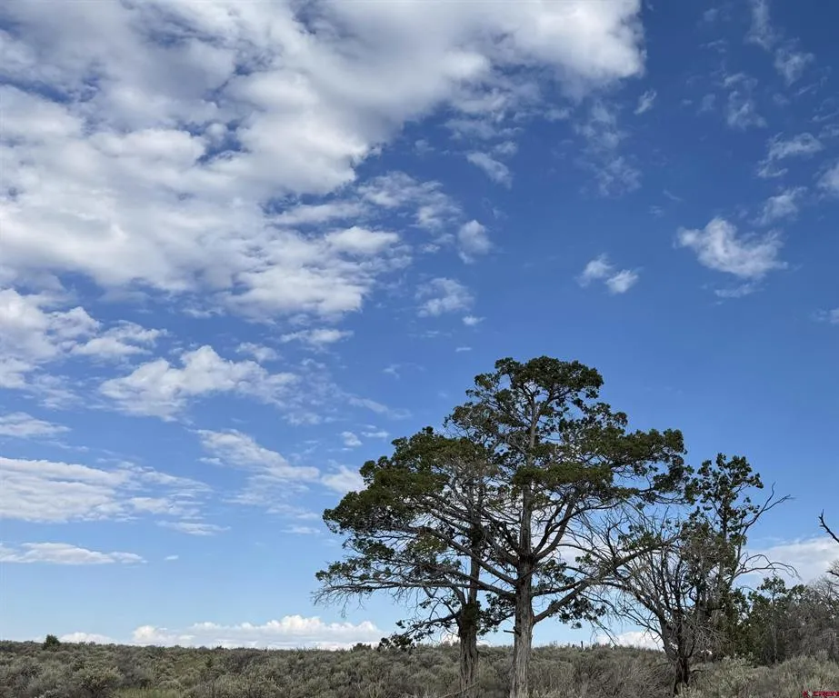 20 TBD ROAD Cortez, CO 81321