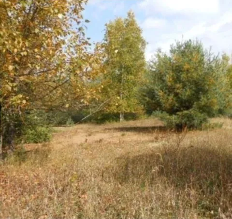 Pueblo Trail