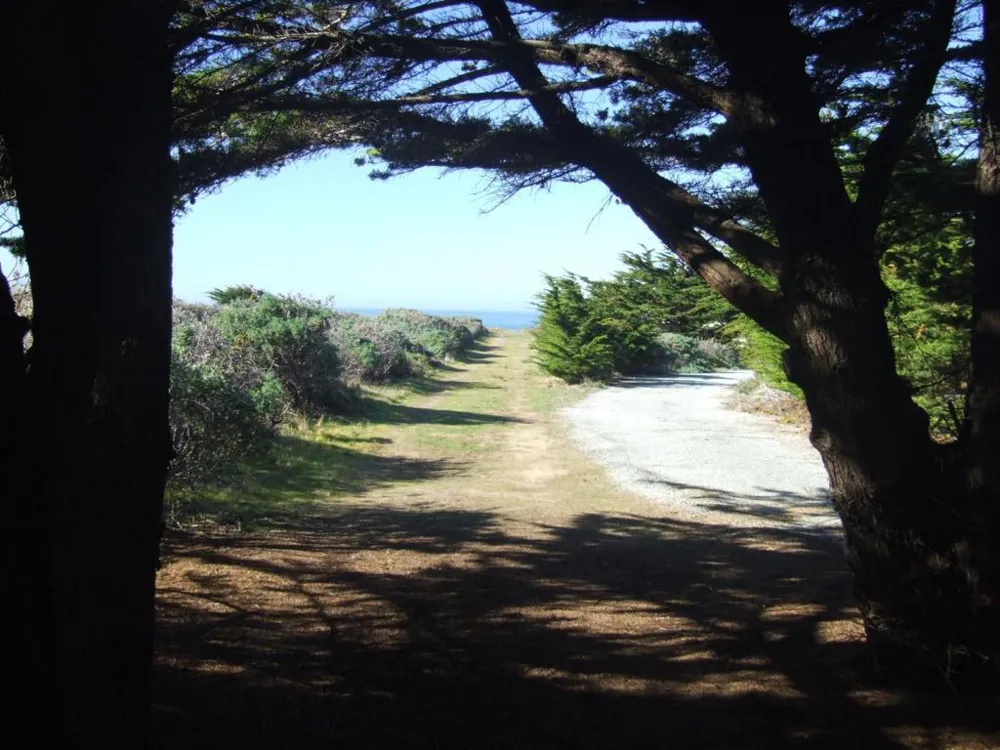 10247 Cabrillo Highway Pescadero, CA 94060