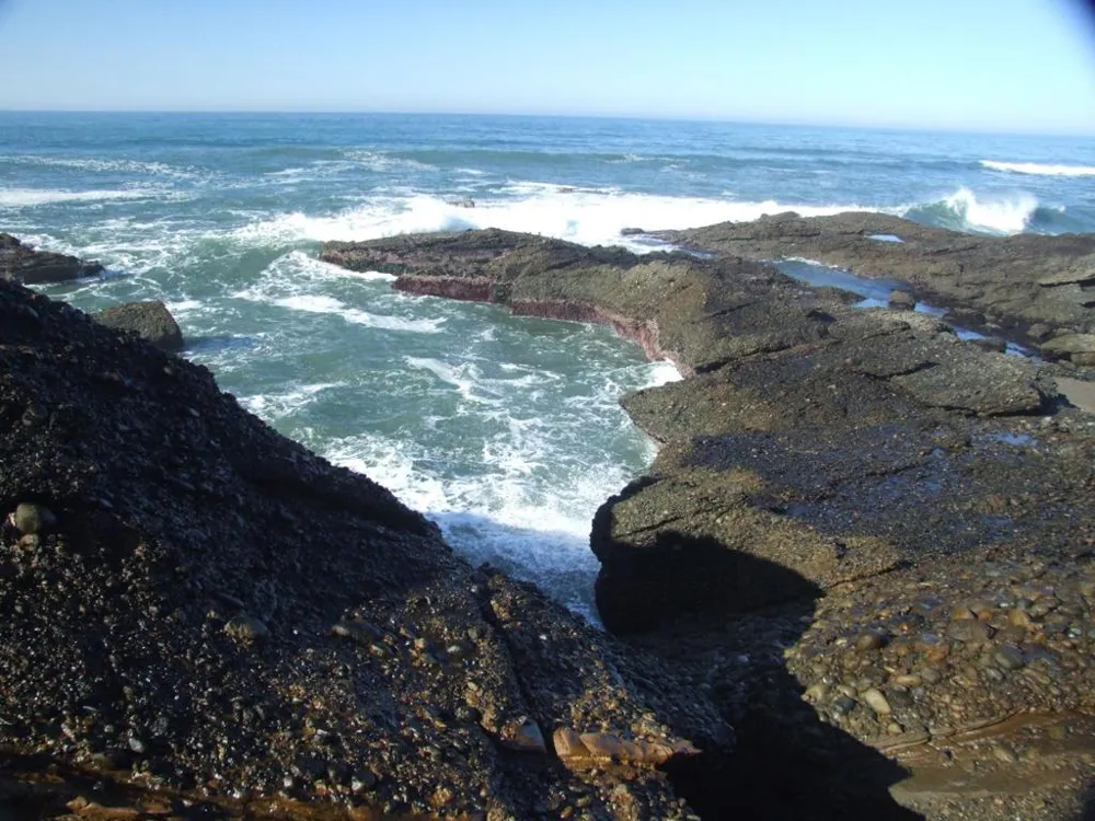10247 Cabrillo Highway Pescadero, CA 94060