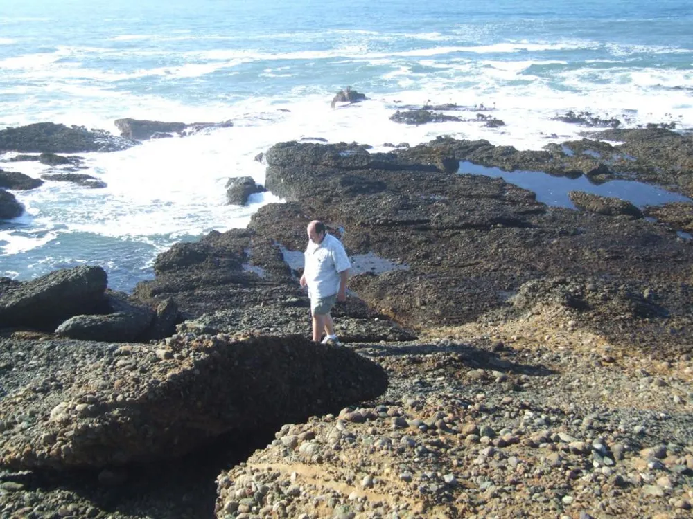 10247 Cabrillo Highway Pescadero, CA 94060