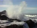 10247 Cabrillo Highway Pescadero, CA 94060