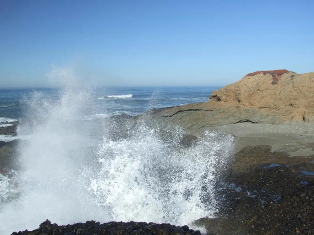 10247 Cabrillo Highway Pescadero, CA 94060