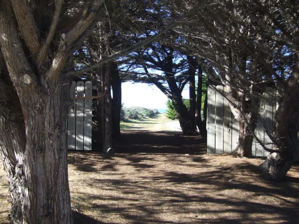 10247 Cabrillo Highway Pescadero, CA 94060