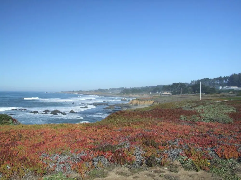 10247 Cabrillo Highway Pescadero, CA 94060