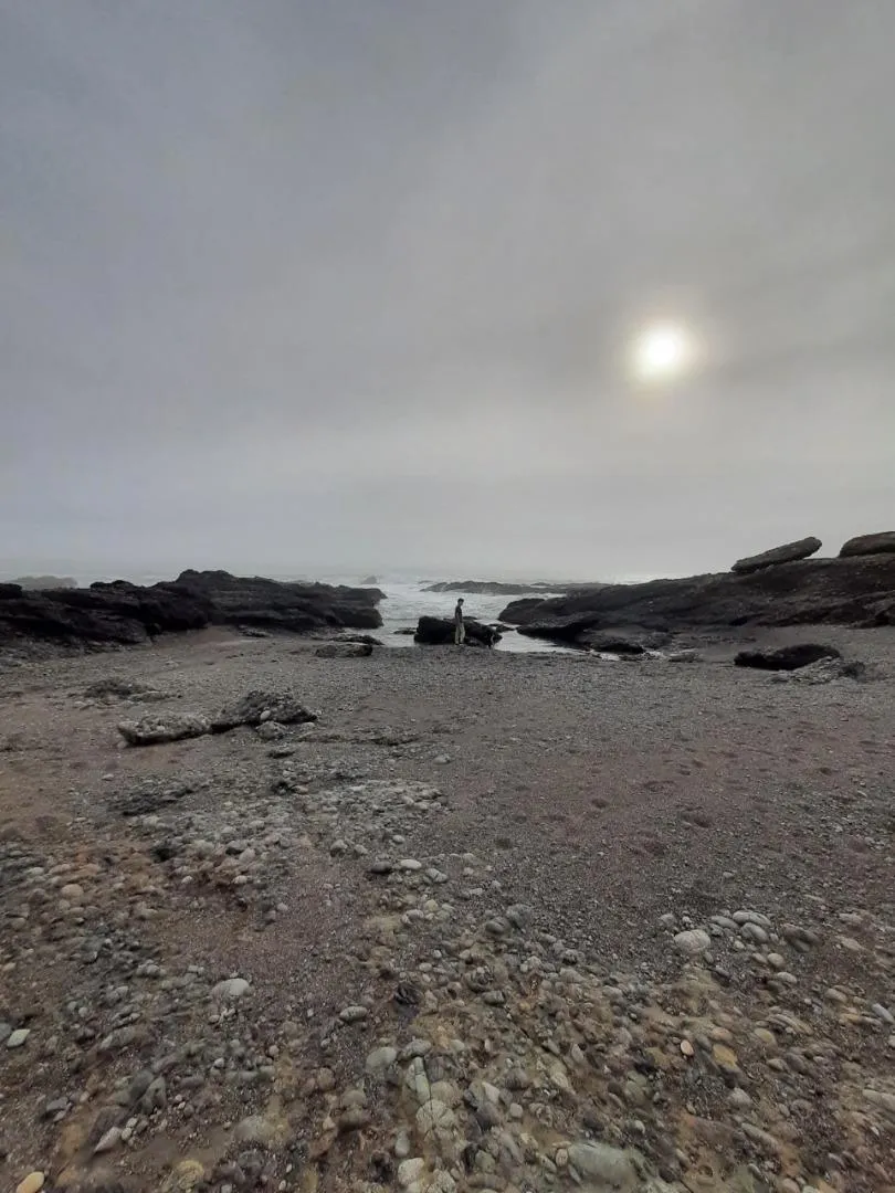 10247 Cabrillo Highway Pescadero, CA 94060