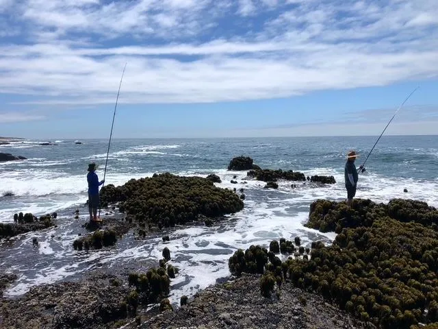 10247 Cabrillo Highway Pescadero, CA 94060