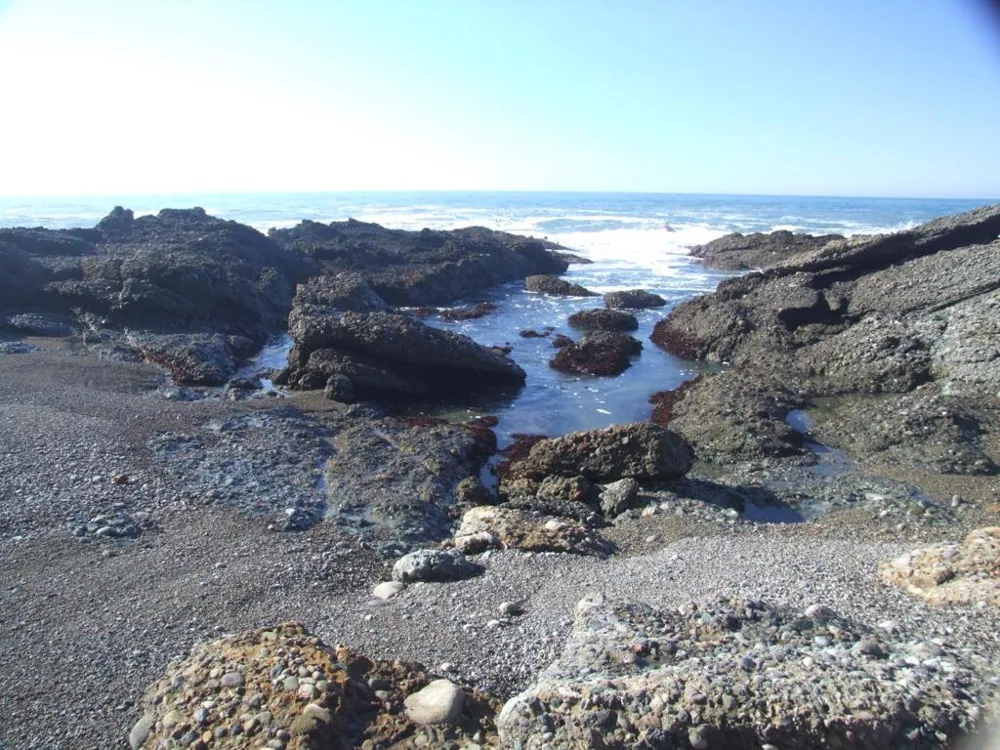 10247 Cabrillo Highway Pescadero, CA 94060