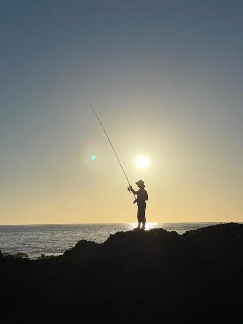 10247 Cabrillo Highway Pescadero, CA 94060