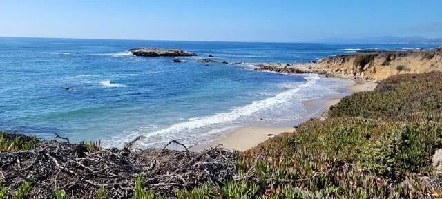 10247 Cabrillo Highway Pescadero, CA 94060