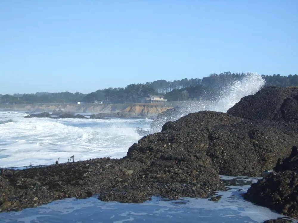 10247 Cabrillo Highway Pescadero, CA 94060