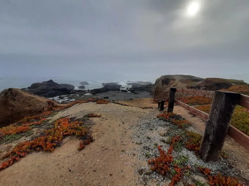 10247 Cabrillo Highway Pescadero, CA 94060
