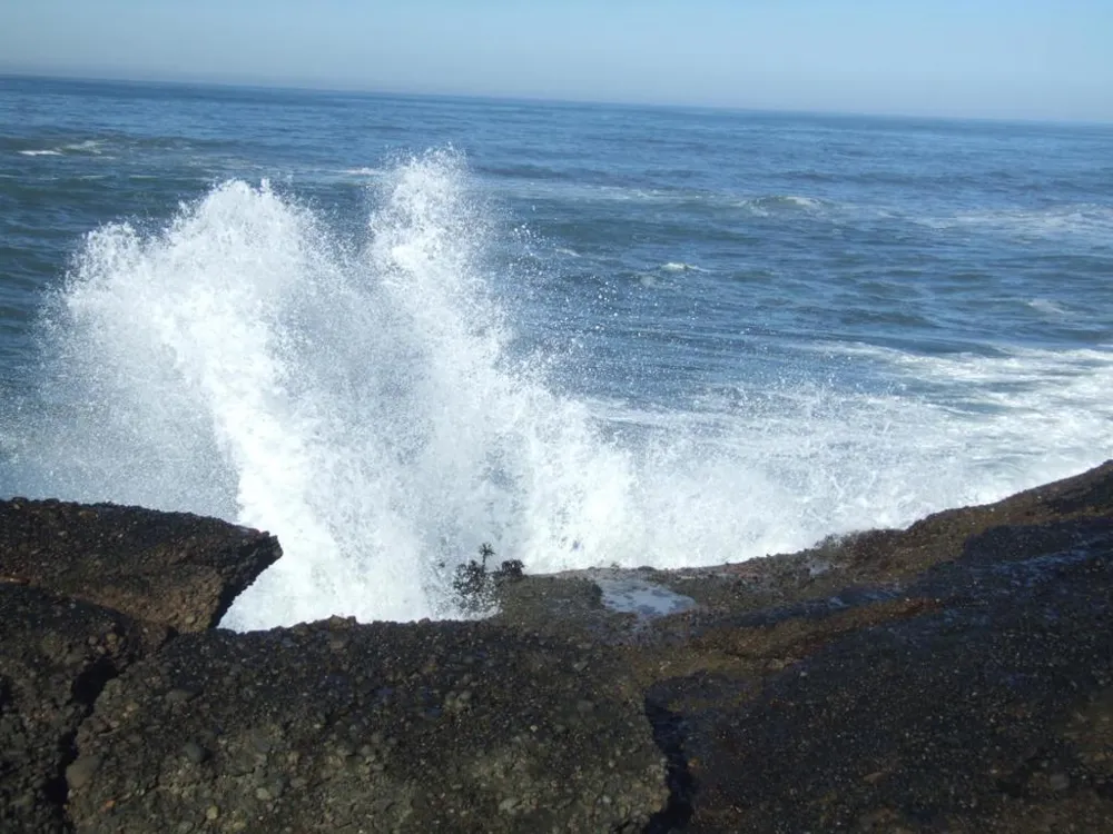10247 Cabrillo Highway Pescadero, CA 94060