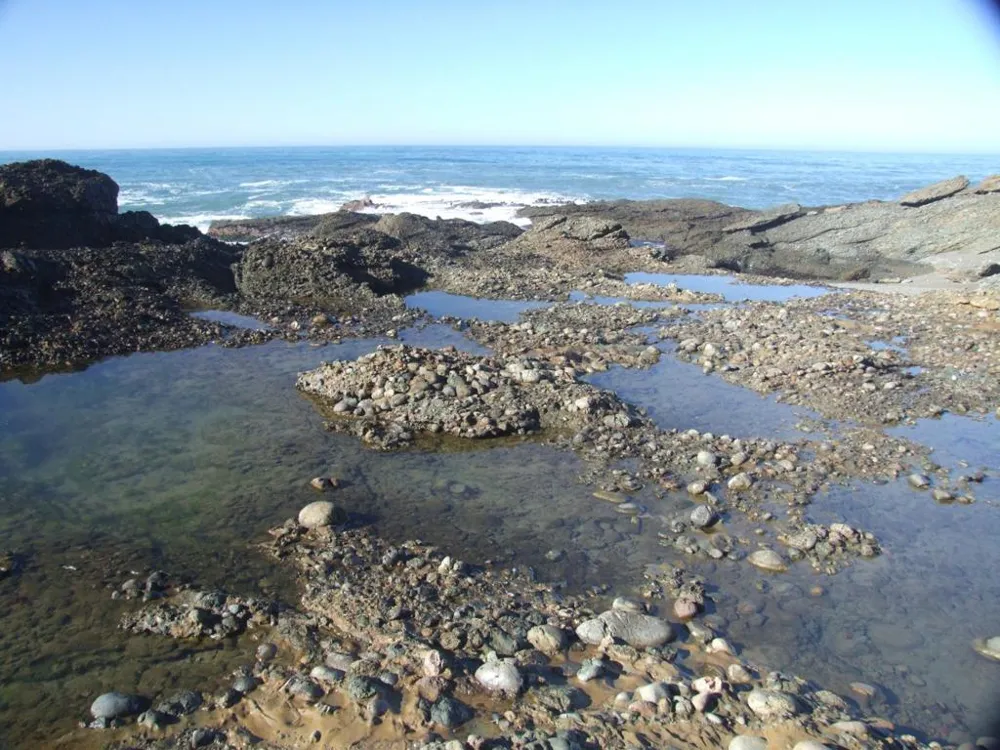 10247 Cabrillo Highway Pescadero, CA 94060