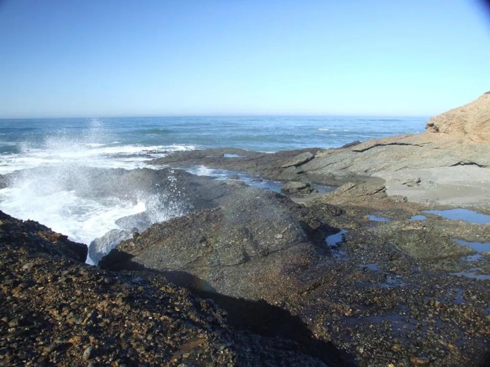 10247 Cabrillo Highway Pescadero, CA 94060