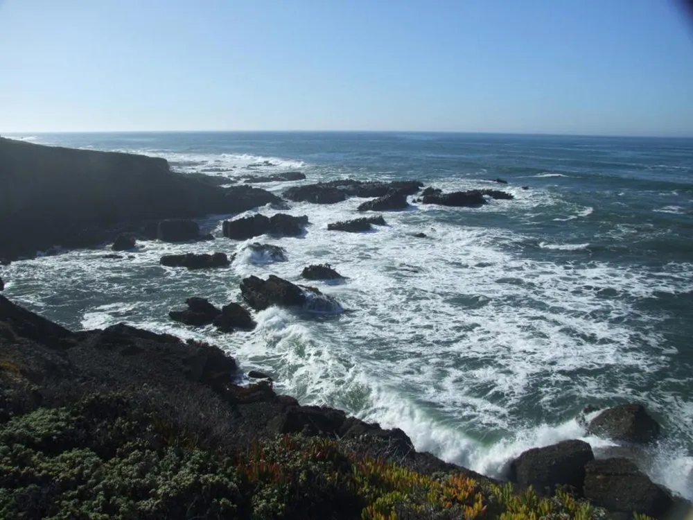 10247 Cabrillo Highway Pescadero, CA 94060